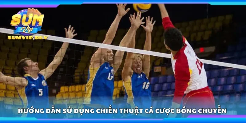Hướng dẫn sử dụng chiến thuật cá cược bóng chuyền 