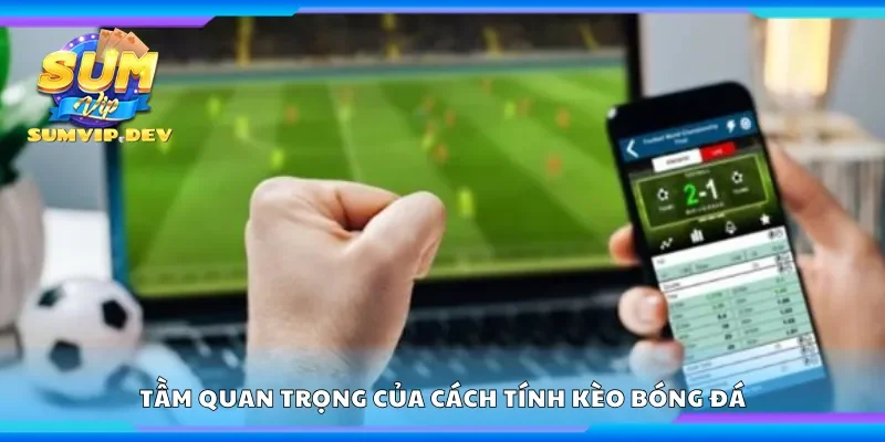 Tầm quan trọng của cách tính kèo bóng đá
