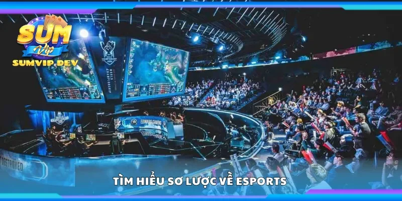 Tìm hiểu sơ lược về Esports