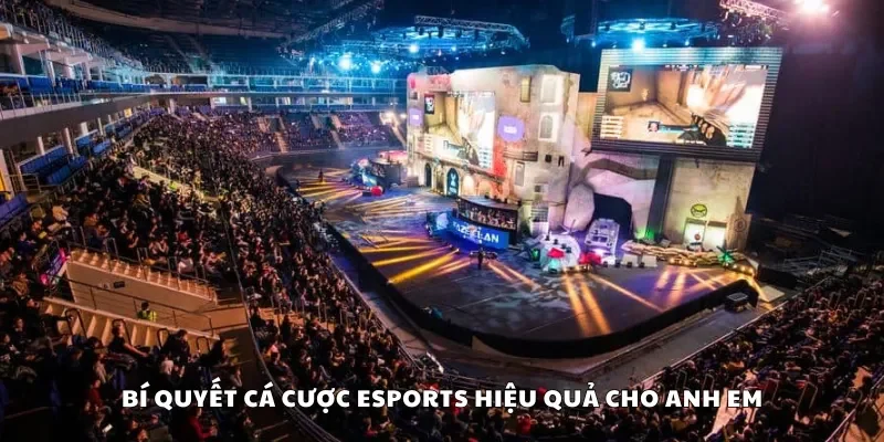 Nắm bắt bí quyết cá cược Esports hiệu quả cho anh em