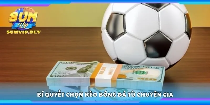 Bí quyết chọn kèo bóng đá từ chuyên gia