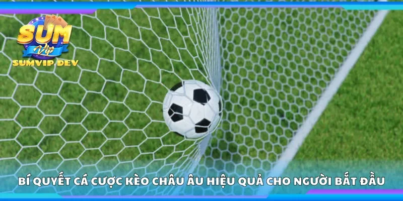 Chia sẻ bí quyết cá cược kèo châu Âu hiệu quả 