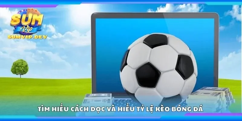 Tìm hiểu cách đọc và hiểu tỷ lệ kèo bóng đá