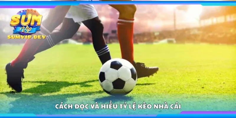 Hướng dẫn cách đọc và hiểu tỷ lệ kèo nhà cái