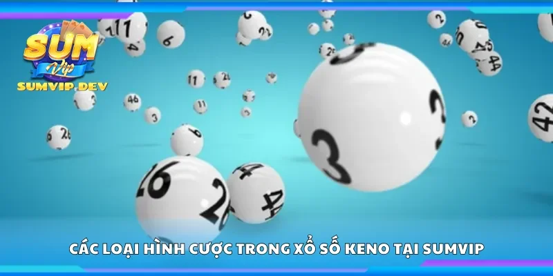 Một số loại hình cược trong xổ số Keno tại Sumvip